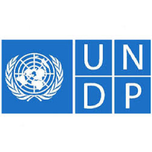 برنامج الأمم المتحدة الإنمائي (UNDP)